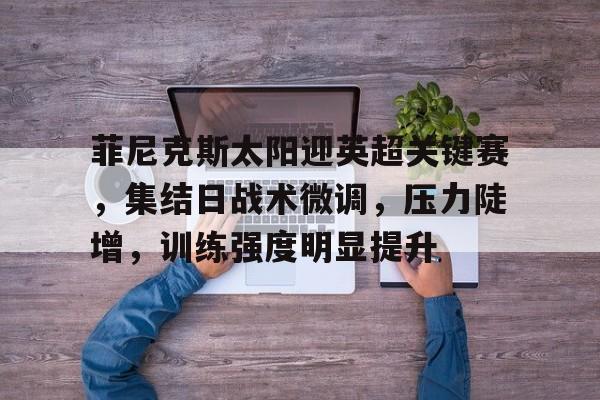 开元app-菲尼克斯太阳在哪个州